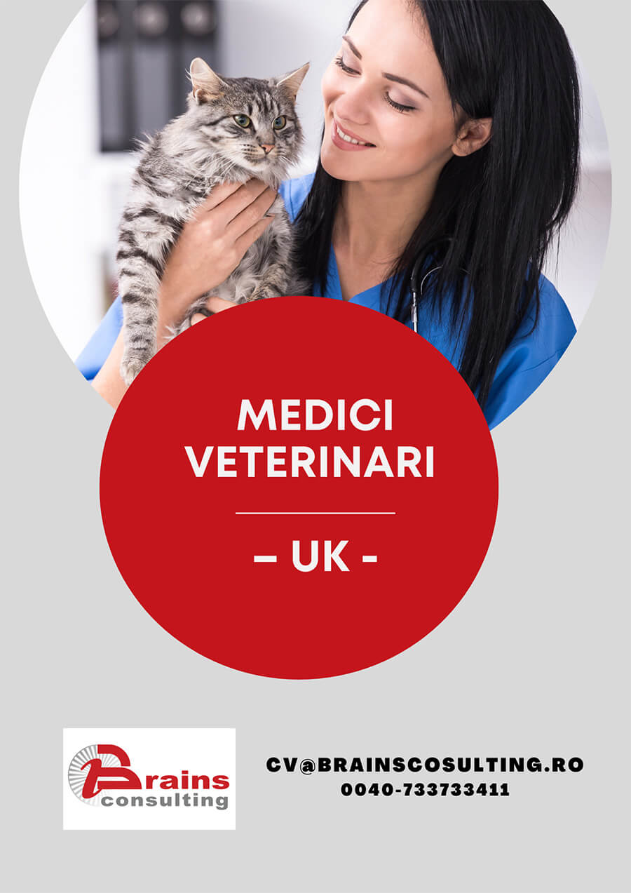 Medici Veterinari UK